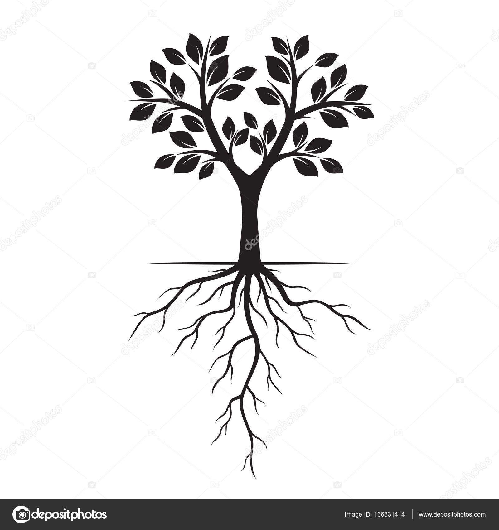 Black and White Tree with Roots Logo - Tree Roots Drawing at GetDrawings.com | Free for personal use Tree ...