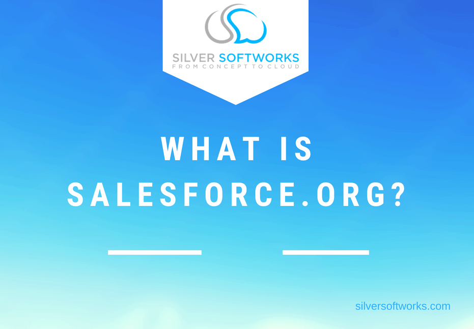 Salesforce Foundation Logo - Salesforce Foundation Archives | Silver Softworks