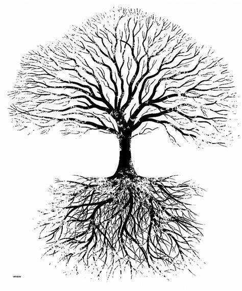 Black and White Tree with Roots Logo - Tree Roots Sketch at PaintingValley.com | Explore collection of Tree ...