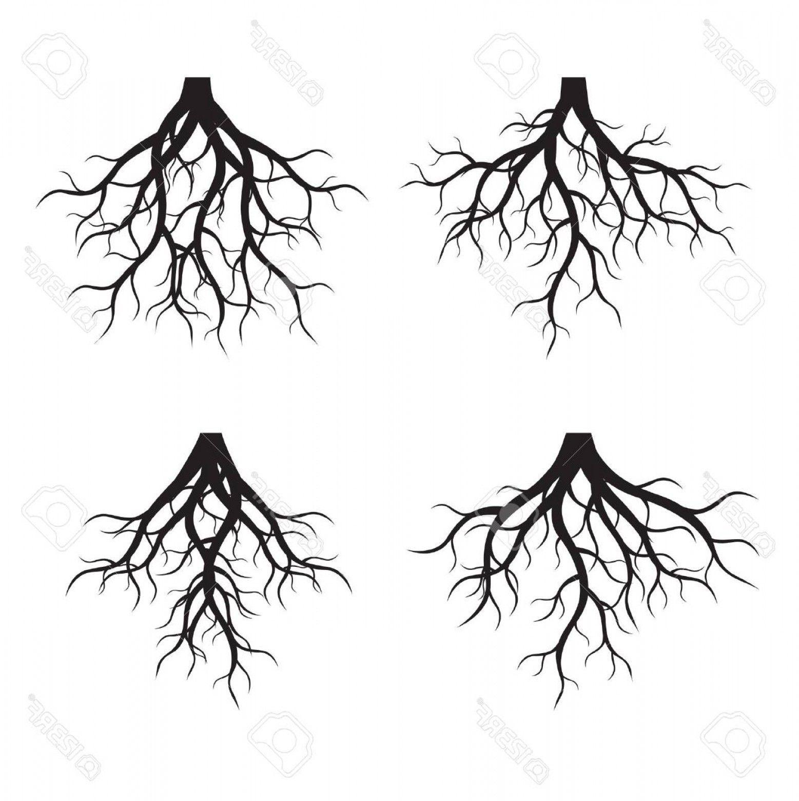 Black and White Tree with Roots Logo - Photostock Vector Set Of Black Tree Roots Vector Illustration ...