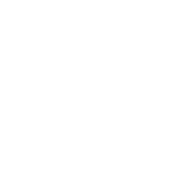 Postal Eagle Logo - Pristine Eagle - Professional Cleaning Services
