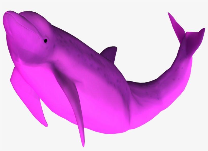 Transparent Pink Dolphin Logo - Picture Pink By Equi Vampire Stock Dolphin Png