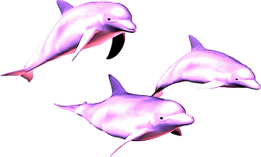 Transparent Pink Dolphin Logo - pink dolphins overlay dolphin