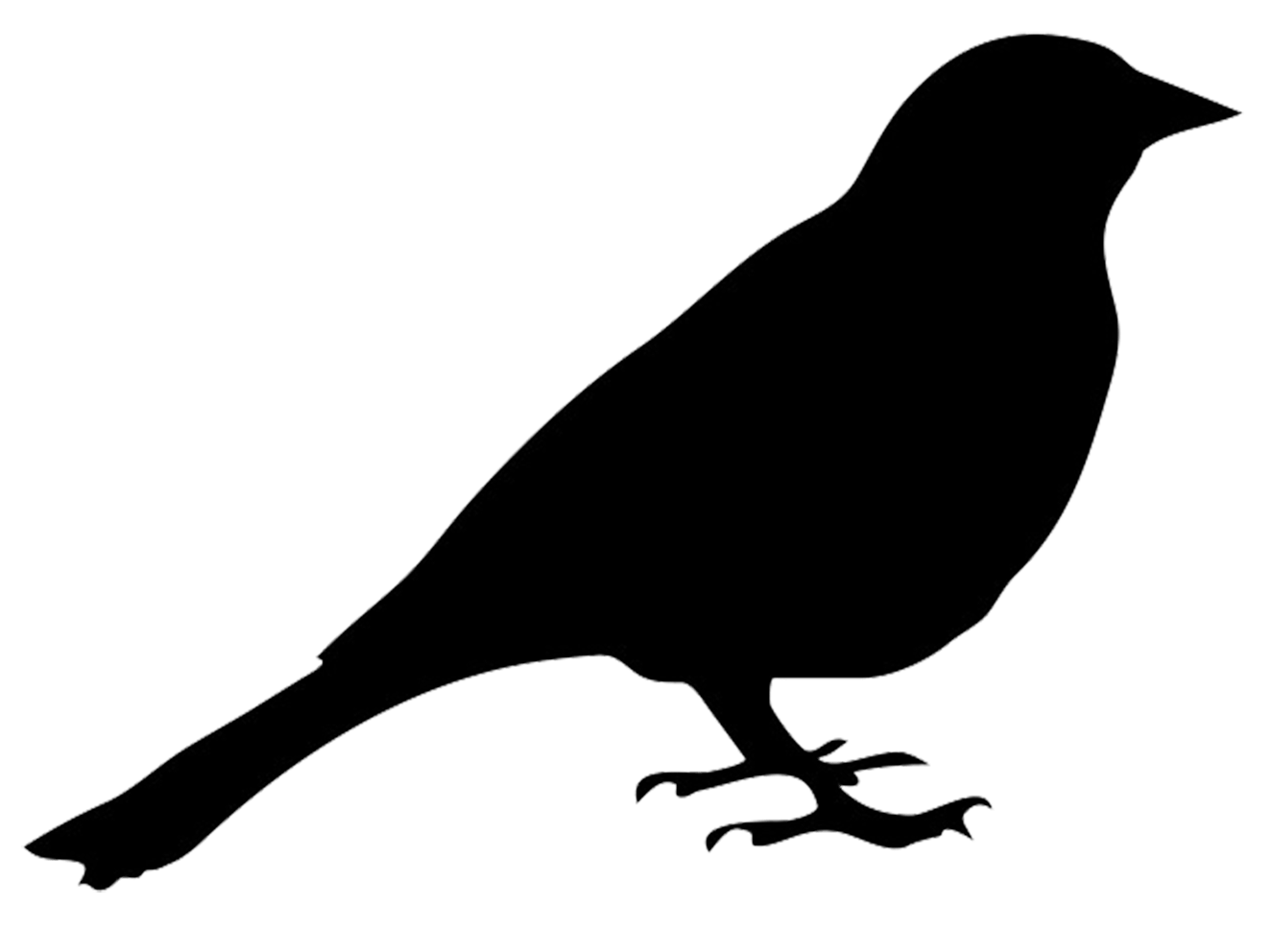 Bird Silhouette Logo - Bird Silhouette transparent PNG - StickPNG