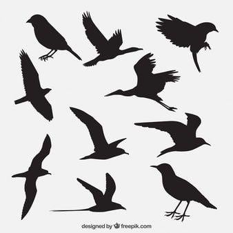 Bird Silhouette Logo - Bird Silhouette Vectors, Photos and PSD files | Free Download