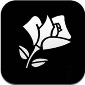 Lancome Flower Logo - DigInPix - Entity - Lancôme