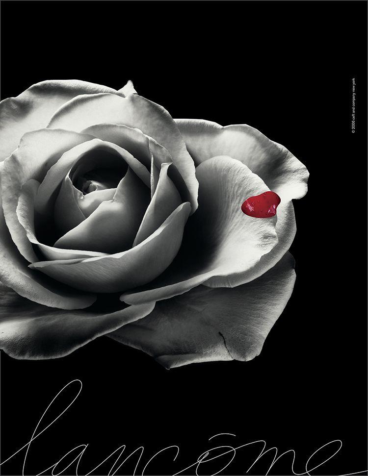 Lancome Flower Logo - advertising: lancôme collaboration with 133 lux paris