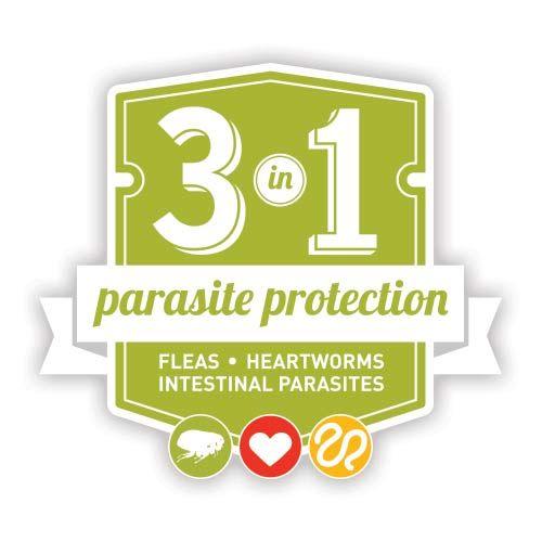 3 in 1 Logo - Why Choose Trifexis for 3-in-1 Parasite Protection for Dogs