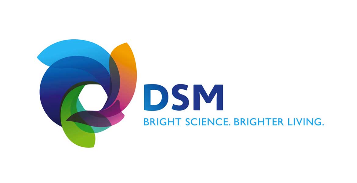 DSM Logo - Dsm Logos