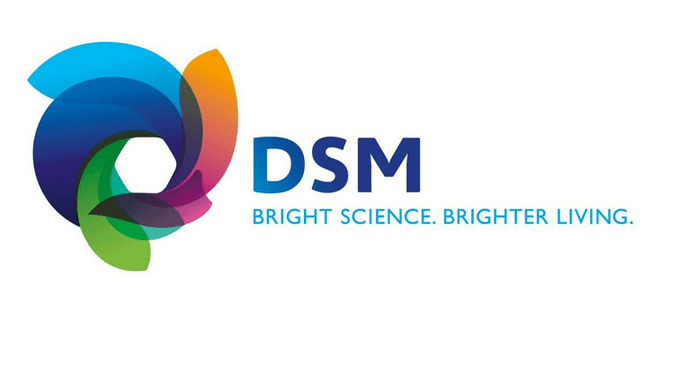 DSM Logo - Royal DSM: Making Management Accountable for Sustainability B Team