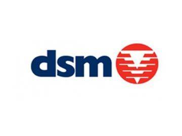 DSM Logo - DSM Logo