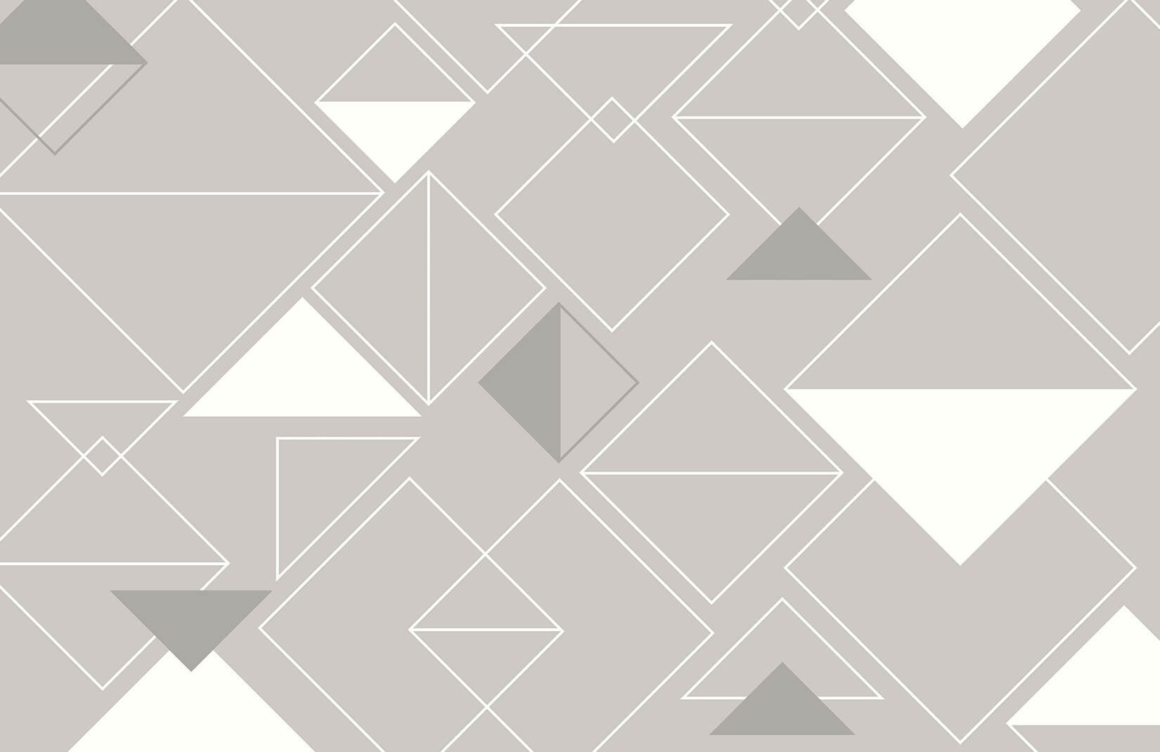 Grey and White Triangle Logo - Classic Grey Triangle Wall Mural