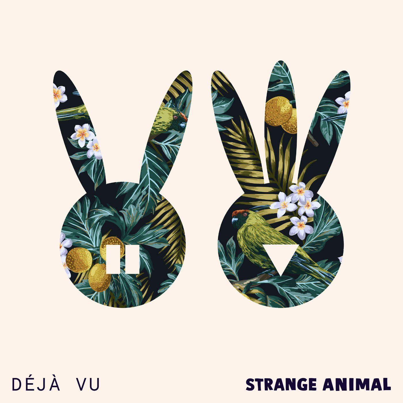 Deja Vu Surf Logo - Déjà Vu — Strange Animal | Last.fm