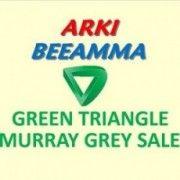 Yellow Green Triangle Logo - Green Triangle Murray Grey Sale - March 6th, 2019 - studstocksales.com