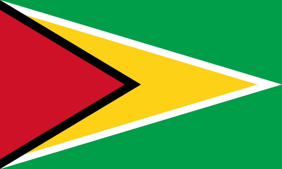 Yellow Green Triangle Logo - Guyana