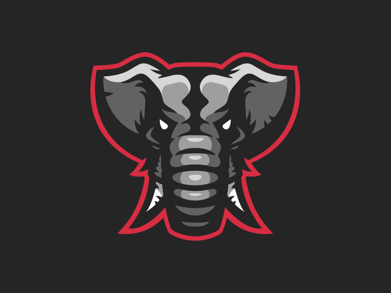 Elephant Sports Logo - Elephant Logo Evolution by Pete Schwadel | Dribbble | Dribbble