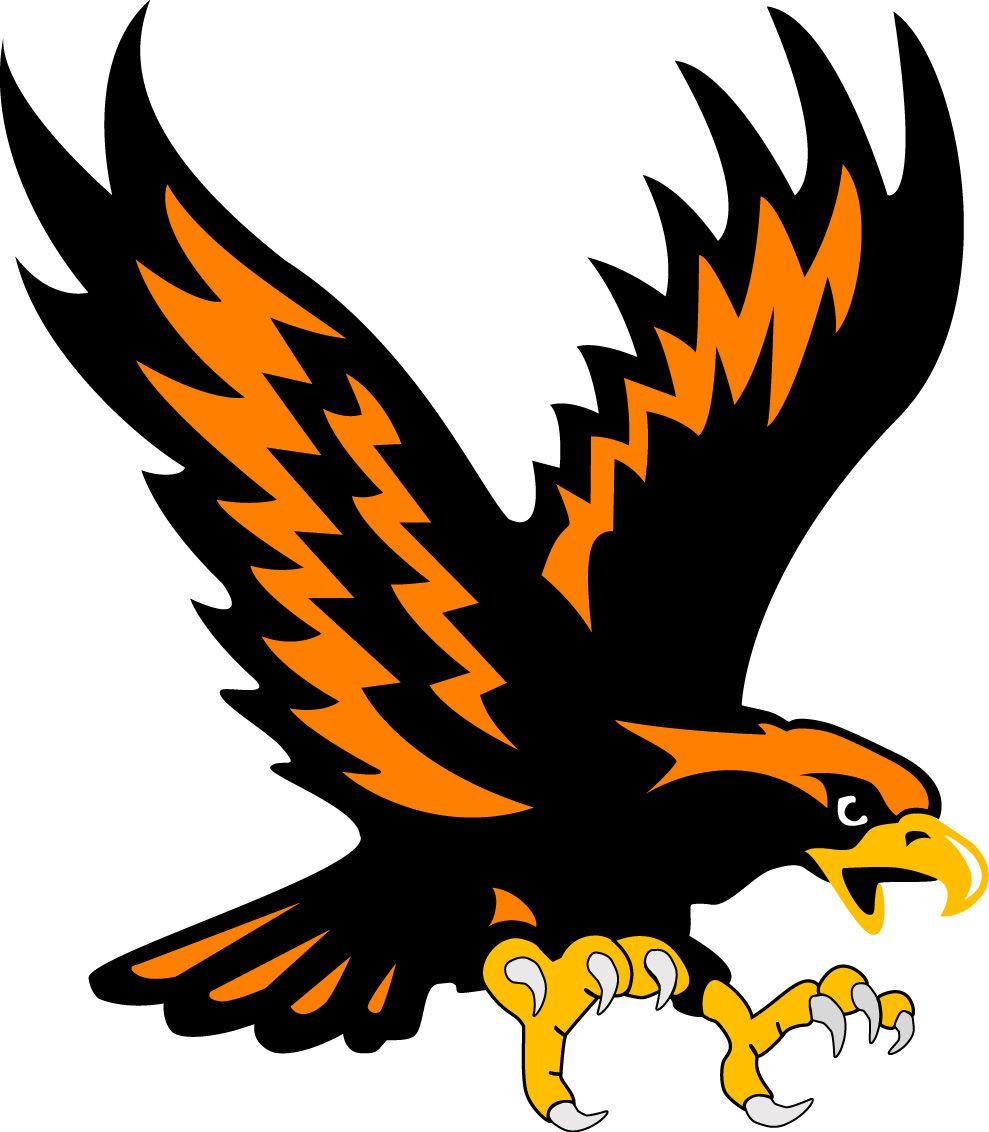 Flying Eagle Logo - Flying Eagle Logo