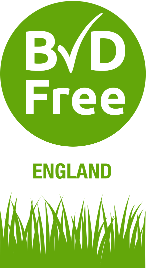 BVD Logo - BVDFree