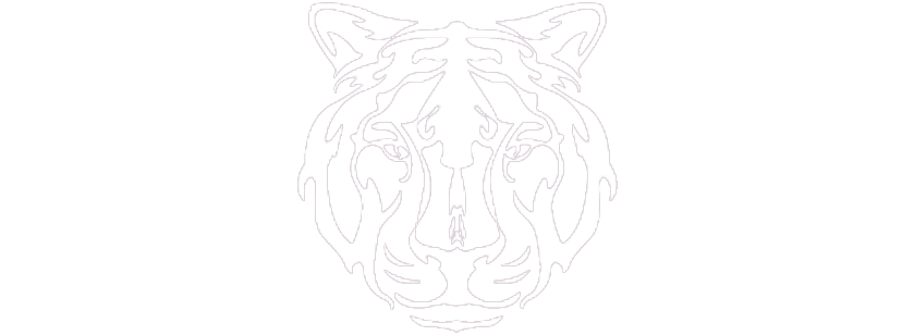 White Tiger Logo - White Tiger Research – An Insight and Strategy Consultancy