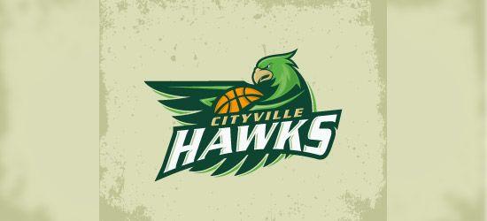 Cool Hawks Logo - 45 Beautiful Basketball Logo Designs For Your Inspiration