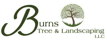 Landscape Services B Logo - Landscaping Services Menomonee Falls. Menomonee Falls Landscape