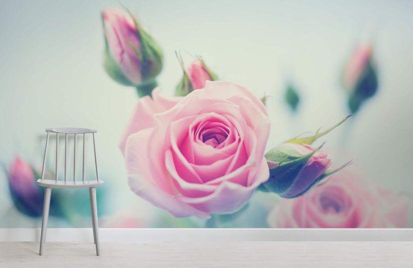Pink Rose Flower Logo - Retro Pink Rose Wall Mural | MuralsWallpaper.co.uk