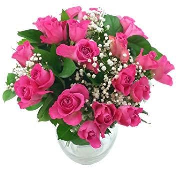 Pink Rose Flower Logo - Clare Florist 20 Pink Roses with Gyp - Colourful Rose Flowers ...