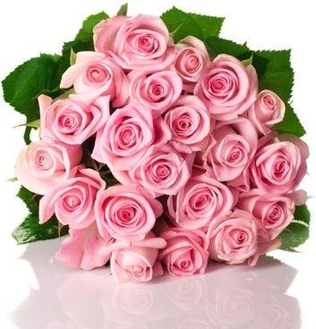 Pink Rose Flower Logo - Beautiful rose flowers hd free stock photos download (16,418 Free ...