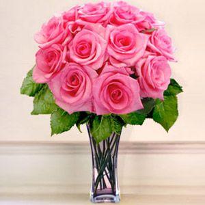 Pink Rose Flower Logo - Rose Flower Meanings by their Color, Variety and Numbers
