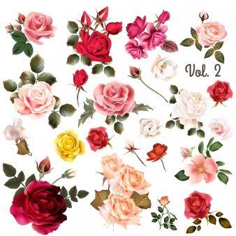 Pink Rose Flower Logo - Rose Vectors, Photos and PSD files | Free Download