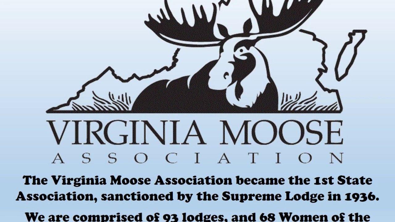 Virginia Moose Logo - Virginia Moose Association - YouTube