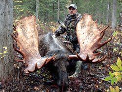 Virginia Moose Logo - The Last Day Moose | Archive | Realtree Camo