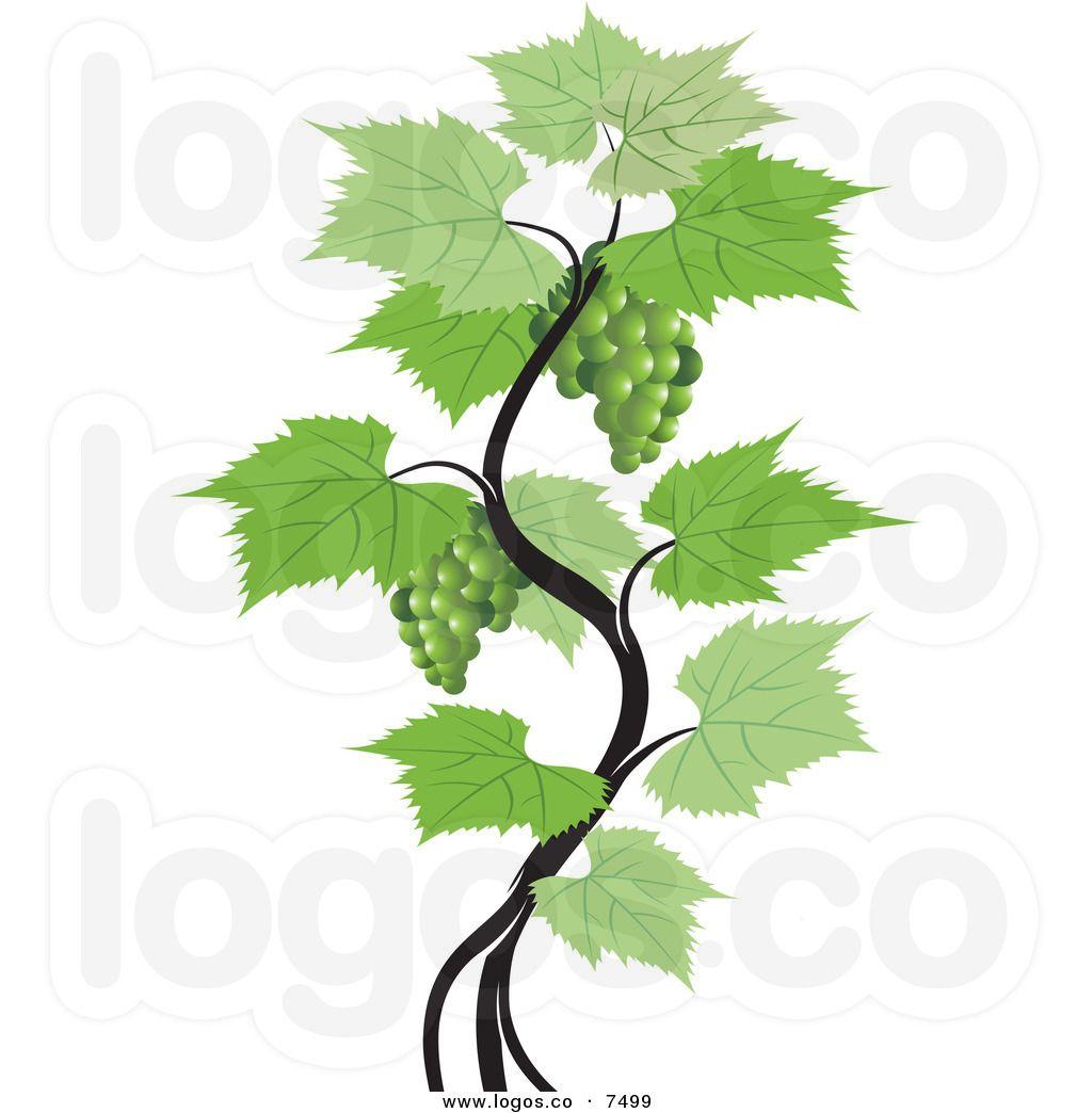 Grape Vine Logo - This grape vine stock logo | Clipart Panda - Free Clipart Images