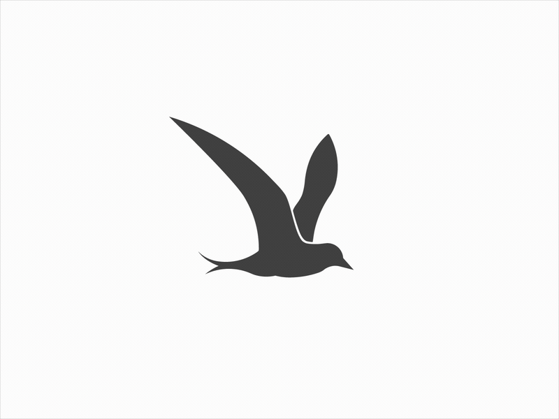 Flying Bird Logo - Arctic Tern Flying bird by Yoav Bender | Dribbble | Dribbble