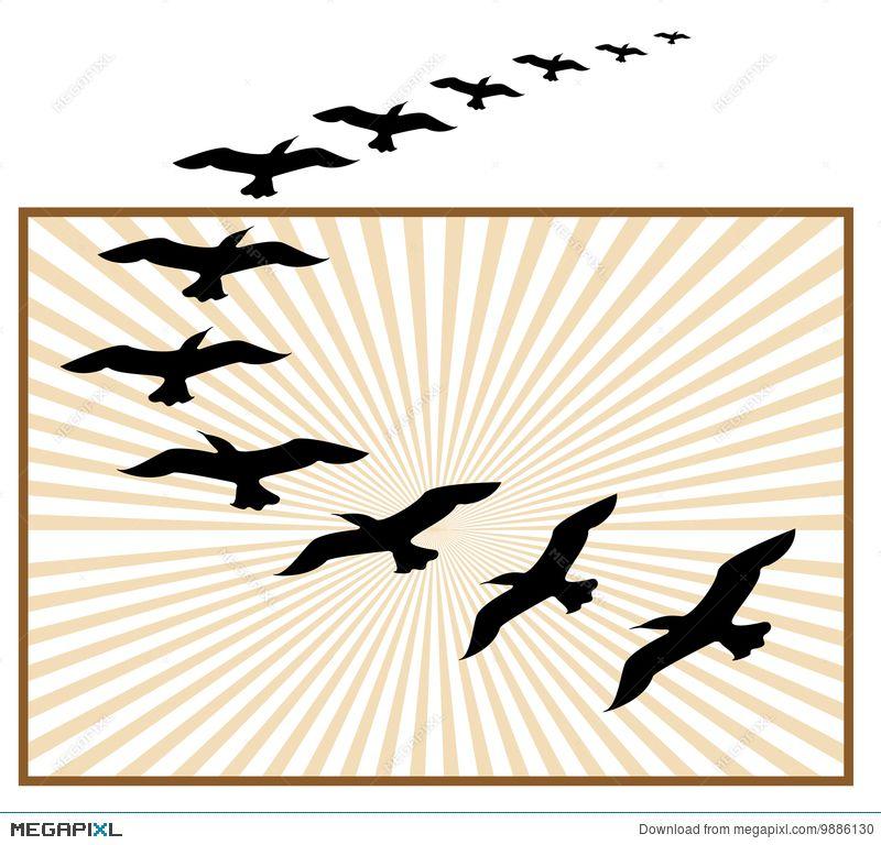 Flying Bird Logo - Flying Birds Logo Illustration 9886130 - Megapixl