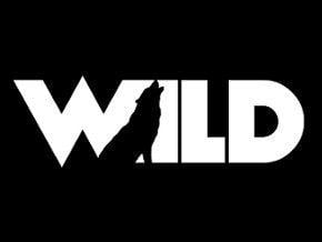 Roku Logo - Wild TV | Roku Channel Store | Roku