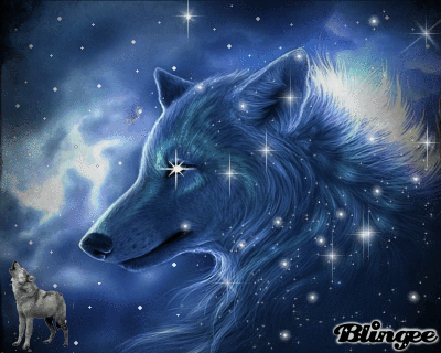 Cool Blue Wolf Logo - COOL BLUE wolf Picture