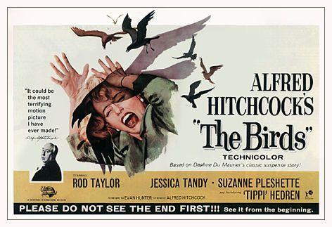 Alfred Hitchcock's the Birds Logo - The Birds | San Francisco Wiki | FANDOM powered by Wikia