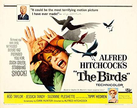 Alfred Hitchcock's the Birds Logo - The Birds Movie Poster Alfred Hitchcock, Tippi Hedren, Rod