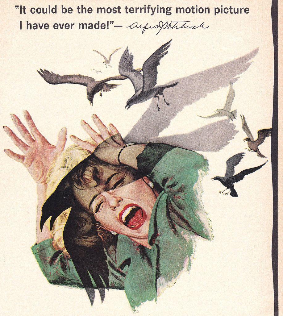 Alfred Hitchcock's the Birds Logo - Alfred Hitchcock The Birds Movie Ad Poster 1963. Heather David