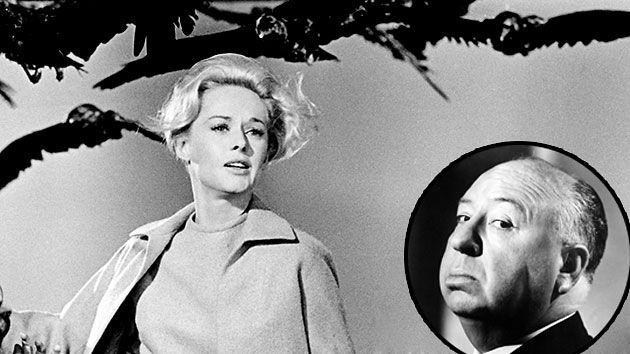 Alfred Hitchcock's the Birds Logo - The Birds' Turns 50: Alfred Hitchcock Drew Fear From Real-Life Flock