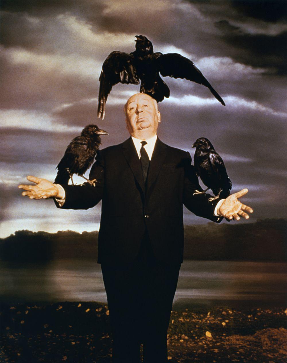 Alfred Hitchcock's the Birds Logo - Hitchcock's Movie, The Birds | BirdNote