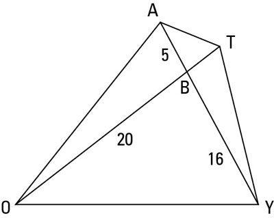 SAS Triangle Logo - How to Prove Triangles Similar with SAS~ - dummies