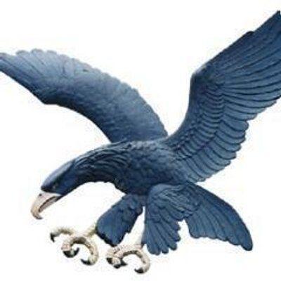 Blue Eagle Sports Logo - Blue Eagle Sports