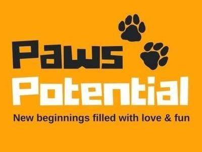 Orange O Paw Logo - Paws Potential Rescue of Islands