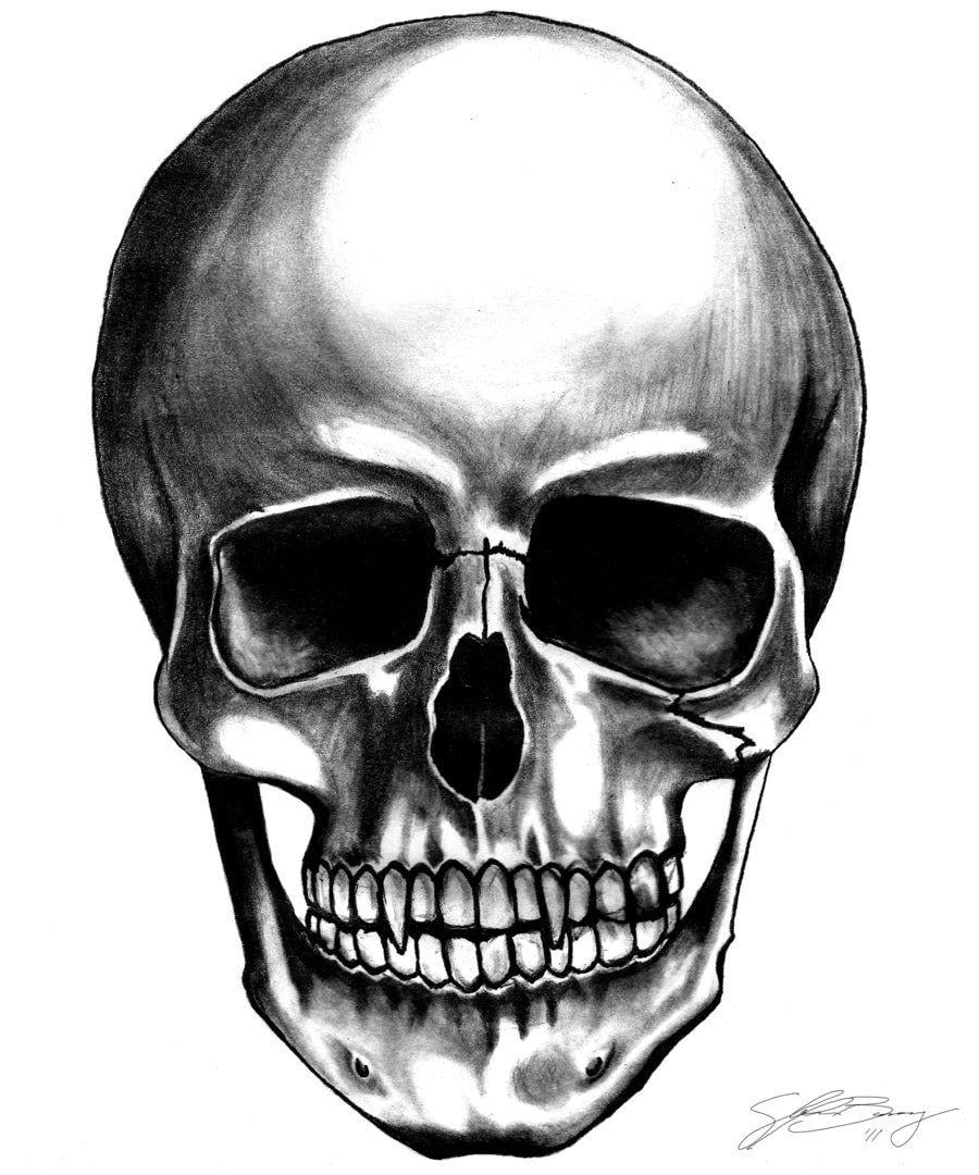 Vampire Skull Logo - Vampire Skull by dieFused on Clipart library