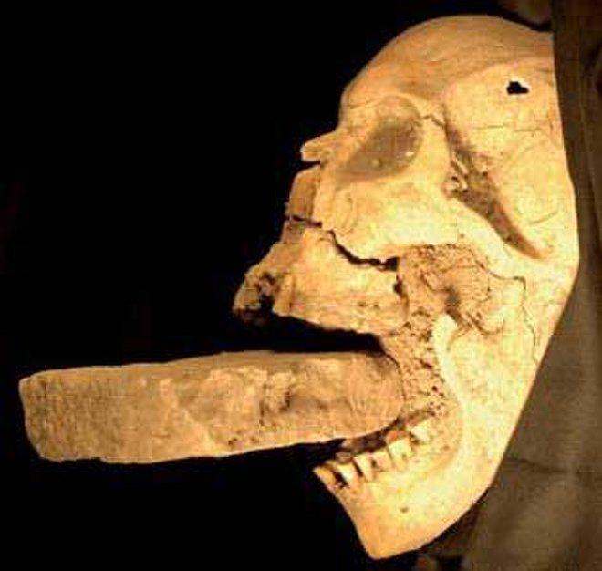 Vampire Skull Logo - Medieval 'Vampire' Skull Found