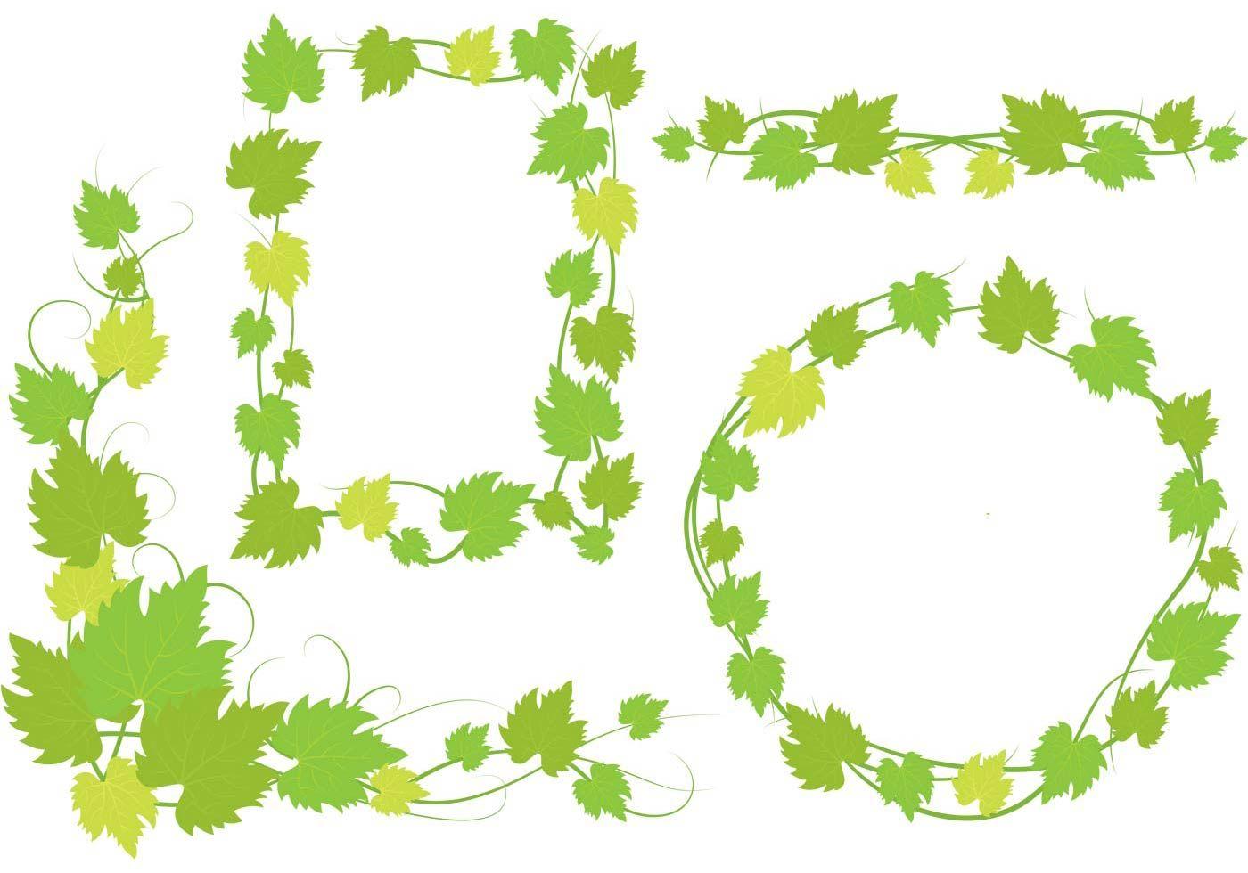 Ivy Leaves Logo - Ivy Vine Leaves Designs | Beauty logo | Pinterest | Leaves, Vine ...