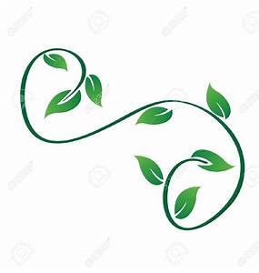 Ivy Leaves Logo - Information about Ivy Leaf Logo