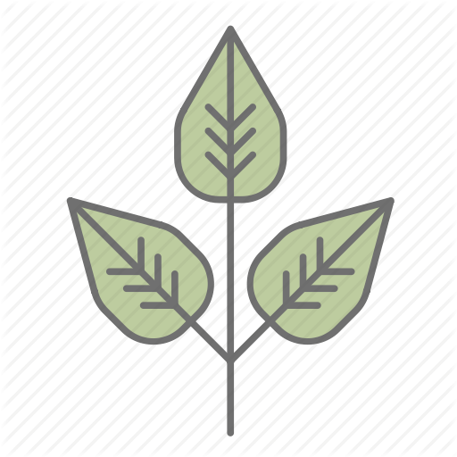 Ivy Leaves Logo - Green, leaf, leaves, nature, outdoors, poison ivy, recreation icon